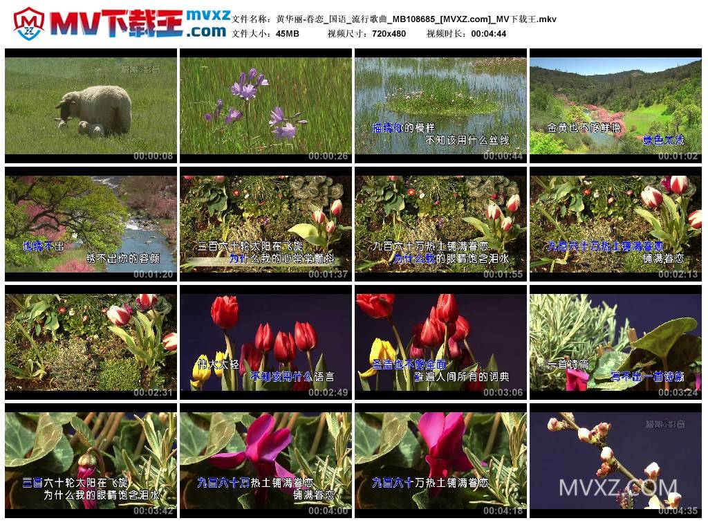 黄华丽-眷恋_国语_流行歌曲_MB108685